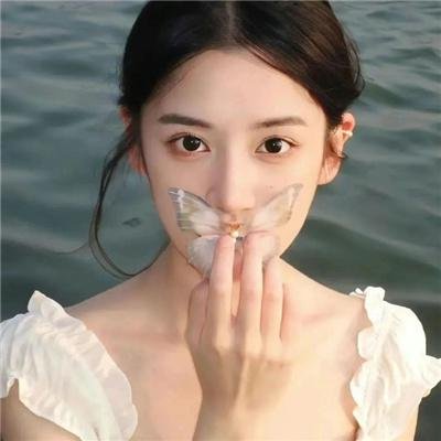 白莲花